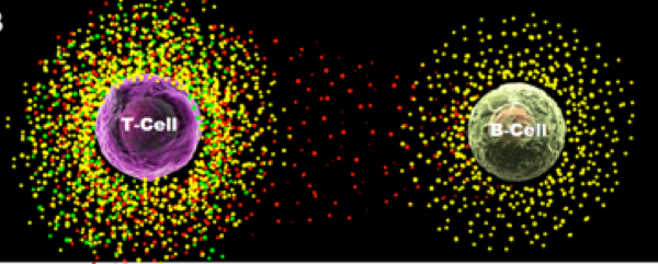 a single cell cytokine 