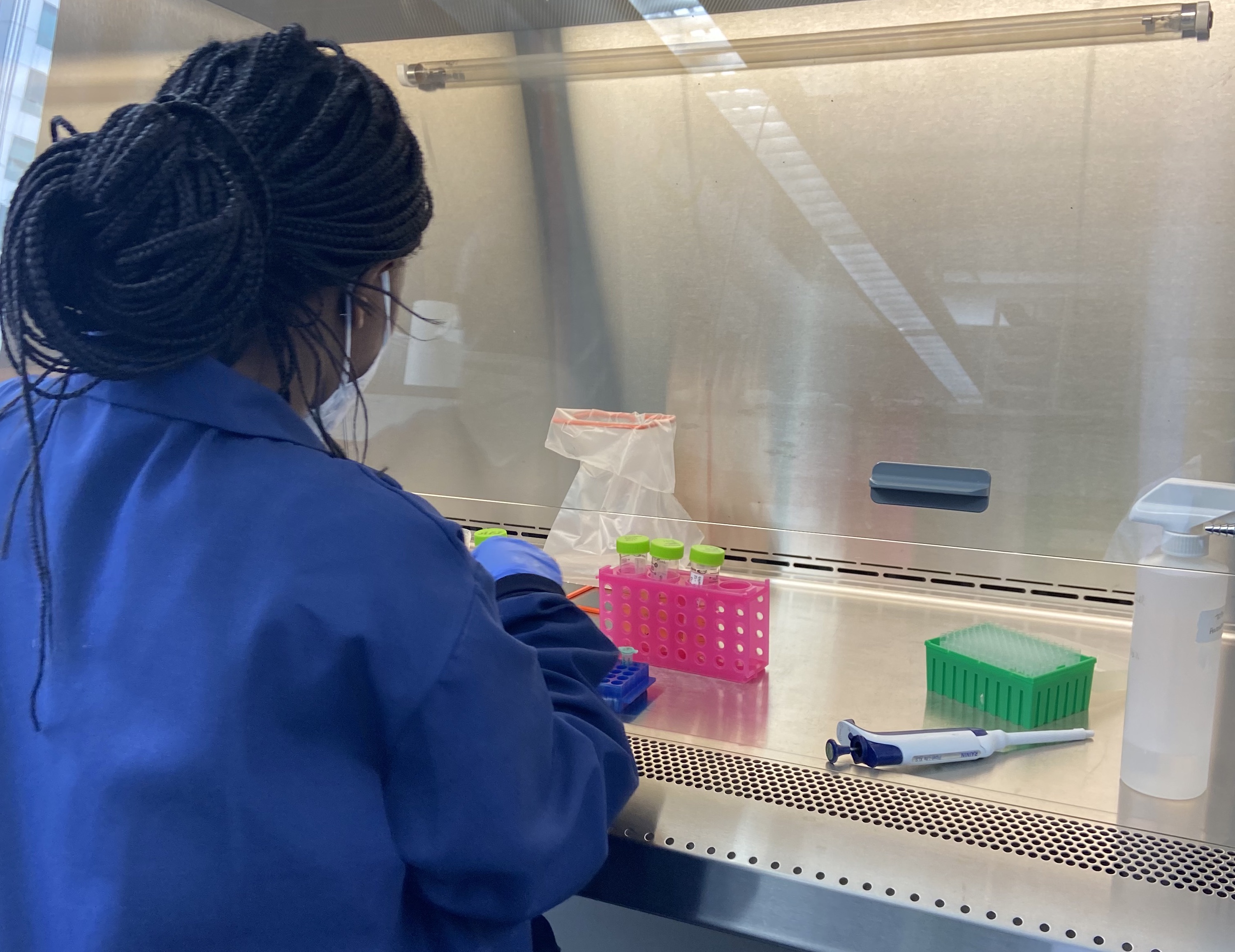 student working in a lab