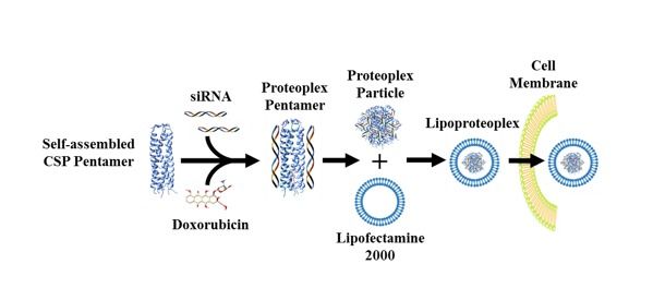 Lipoproteoplex